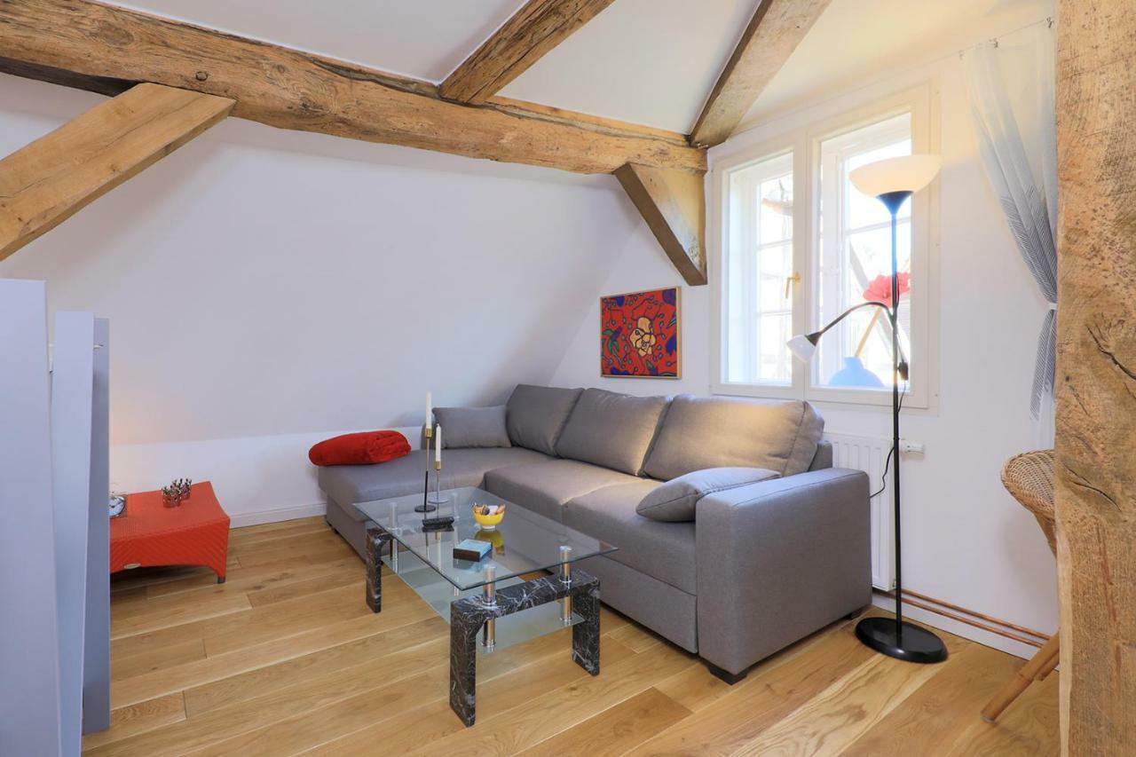Alte Schmiede Bleckede Apartment ภายนอก รูปภาพ