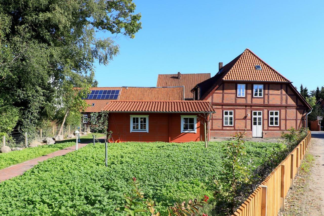 Alte Schmiede Bleckede Apartment ภายนอก รูปภาพ